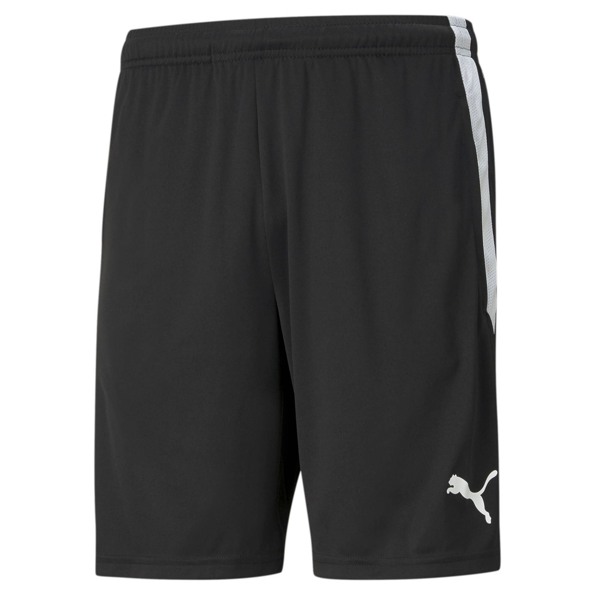 PUMA Trainingsshorts »TEAMLIGA TRAINING SHORTS« von Puma