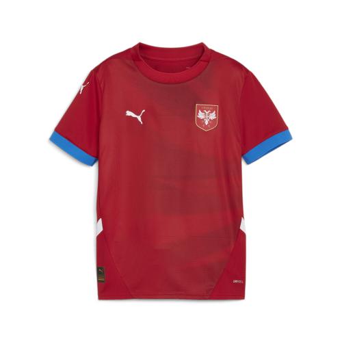 Puma FSS Home Jersey Replica Jr - dark cherry (Grösse: 152) von Puma