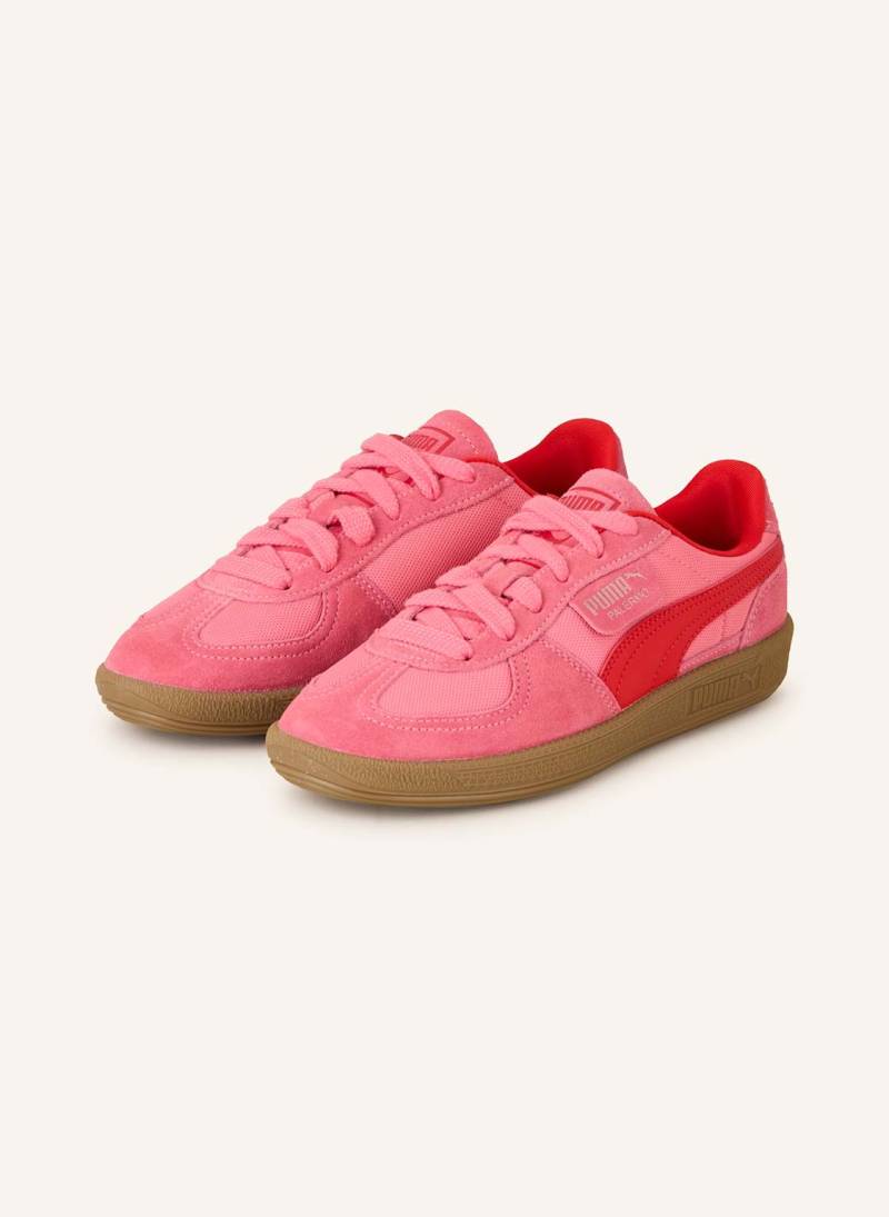 Puma Sneaker Palermo pink von Puma