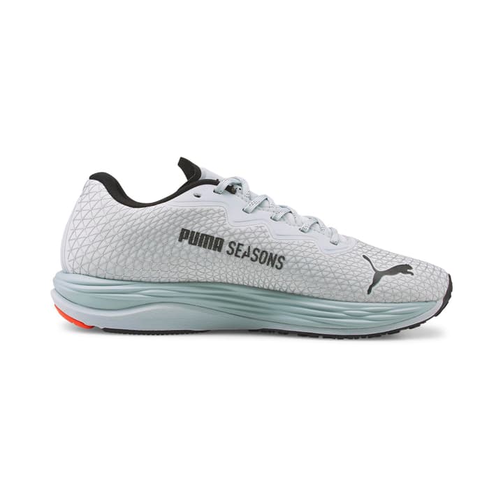 Puma Velocity Nitro 2 GTX Runningschuhe grau von Puma