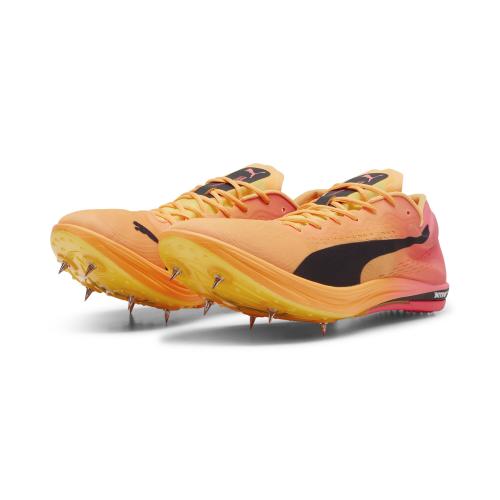 Puma evoSPEED Long Distance NITRO Elite 2 - sun stream (Grösse: 40.5) von Puma