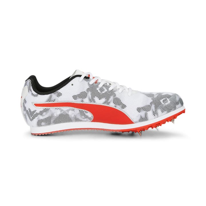 Puma evoSPEED Star 8 Runningschuhe grau von Puma