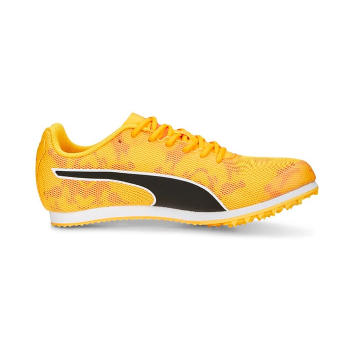 Puma evoSPEED Star 8 Runningschuhe orange Puma evoSPEED Star 8 Runningschuhe orange von Puma