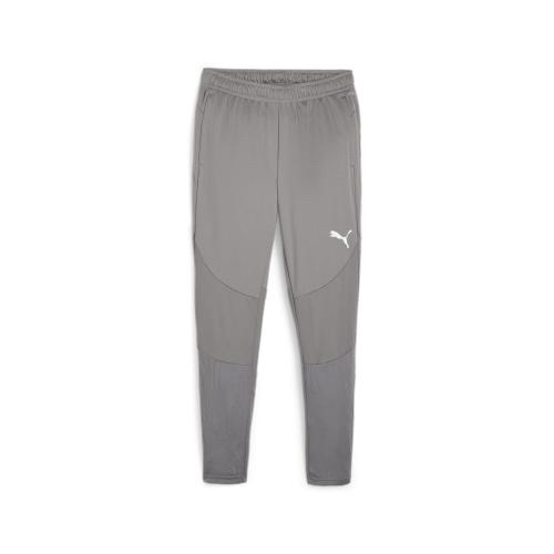 Puma teamFINAL Training Pants - cast iron (Grösse: 3XL) von Puma