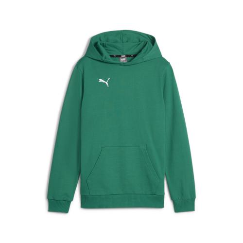 Puma teamGOAL Casuals Hoody Jr - sport green (Grösse: 116) von Puma