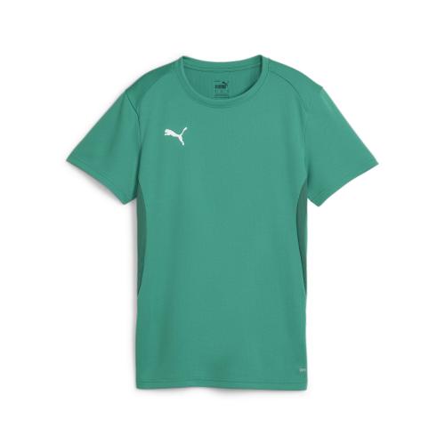 Puma teamGOAL Jersey Wmn - sport green (Grösse: L) von Puma