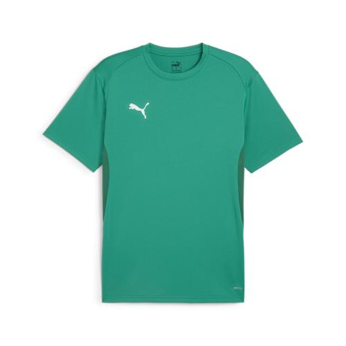 Puma teamGOAL Jersey - sport green (Grösse: M) von Puma