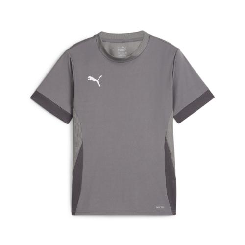 Puma teamGOAL Matchday Jersey jr - cast iron (Grösse: 116) von Puma