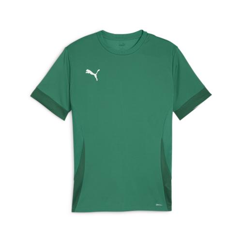 Puma teamGOAL Matchday Jersey - sport green (Grösse: M) von Puma