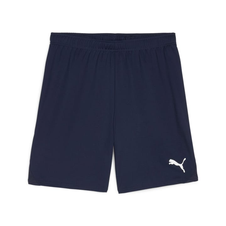 Puma teamGOAL Shorts Shorts marine von Puma