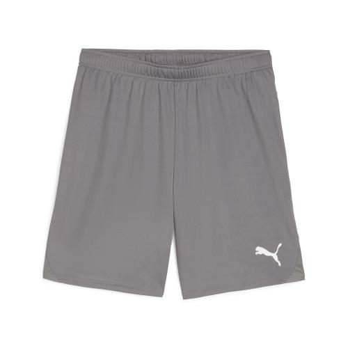 Puma teamGOAL Shorts - cast iron (Grösse: 3XL) von Puma