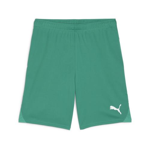 Puma teamGOAL Shorts - sport green (Grösse: 3XL) von Puma