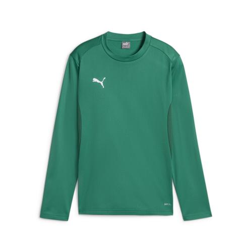 Puma teamGOAL Training Sweat Jr - sport green (Grösse: 116) von Puma