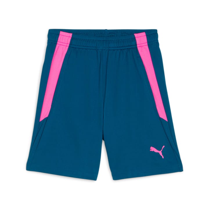 Puma teamLIGA Training Shorts Shorts petrol Puma teamLIGA Training Shorts Shorts petrol von Puma