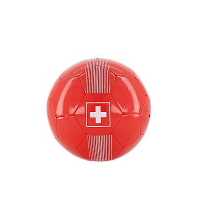 Schweiz Fussball von Puma