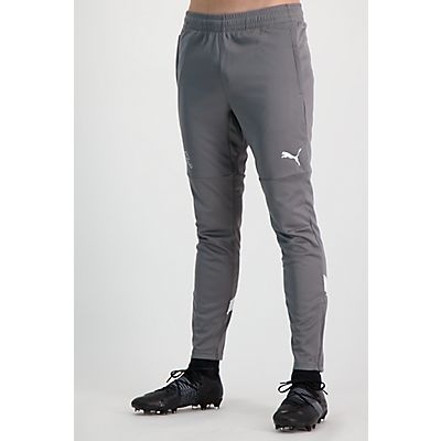 Schweiz Training Herren Trainerhose von Puma