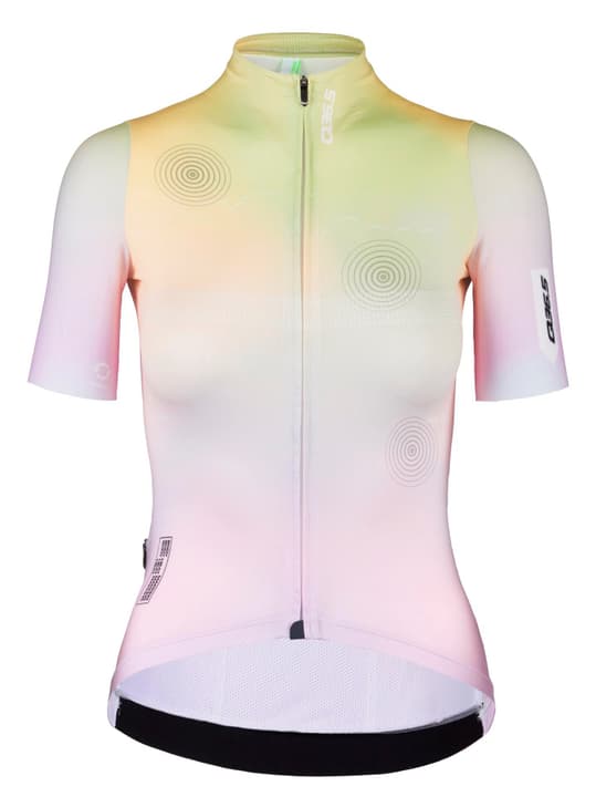 Q36.5 Gregarius Pro Qlab Bikeshirt mehrfarbig von Q36.5