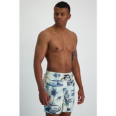 Everyday Mix 17 Inch Herren Badeshort von Quiksilver