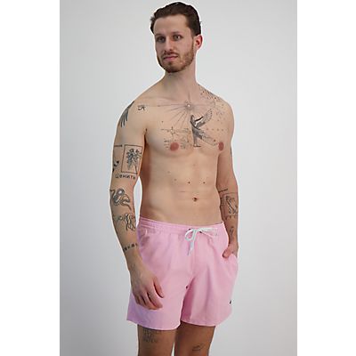 Everyday Solid Volley 15 Inch Herren Badeshort von Quiksilver