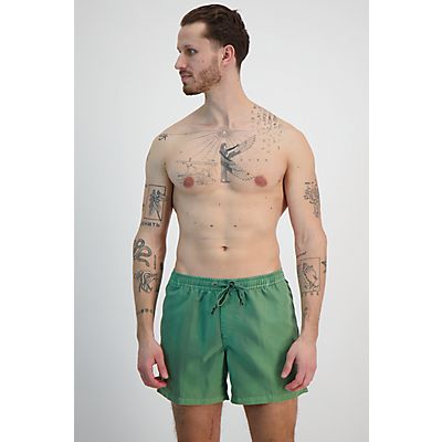 Everyday Surfwash Volley 15 Inch Herren Badeshort von Quiksilver