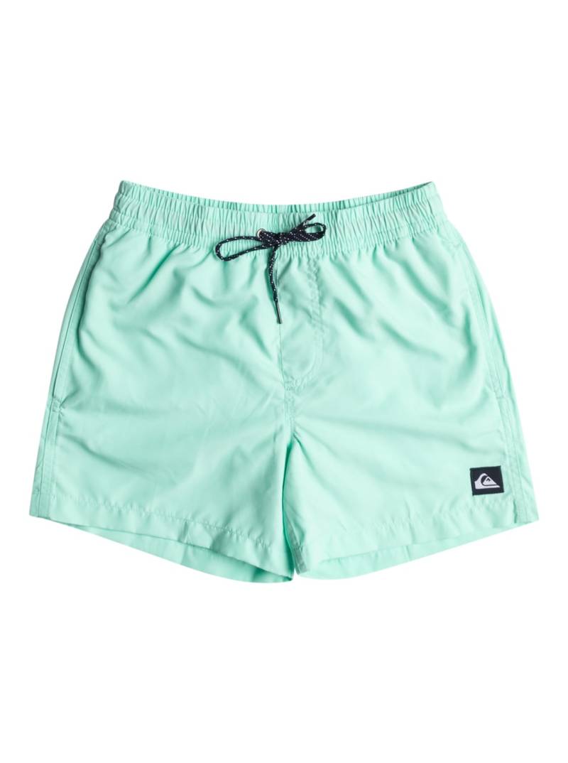 Quiksilver Badeshorts »Everyday 13"« von Quiksilver