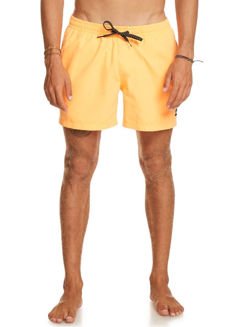 Quiksilver Badeshorts »Everyday 15"« von Quiksilver