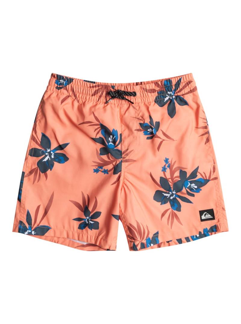 Quiksilver Badeshorts »Everyday Mix 14"« von Quiksilver