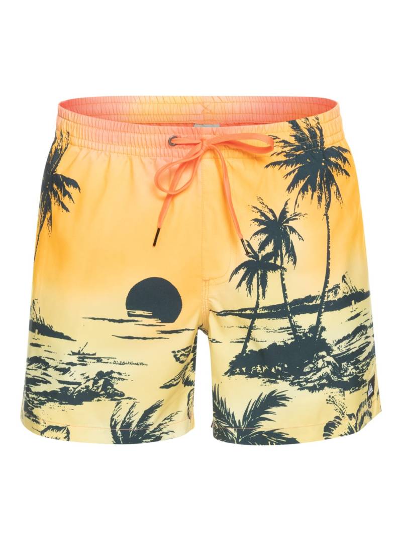 Quiksilver Badeshorts »Everyday Paradise 15"« von Quiksilver