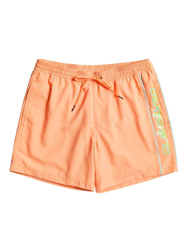 Quiksilver Badeshorts »Everyday Vert 14"« von Quiksilver