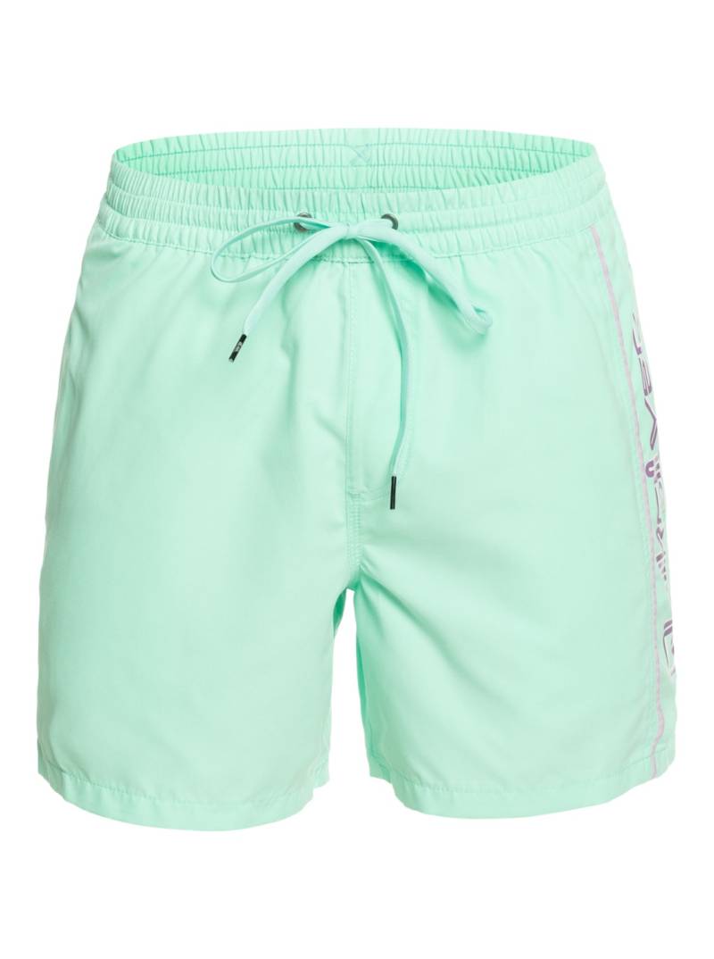 Quiksilver Boardshorts »Everyday Vert 16"« von Quiksilver