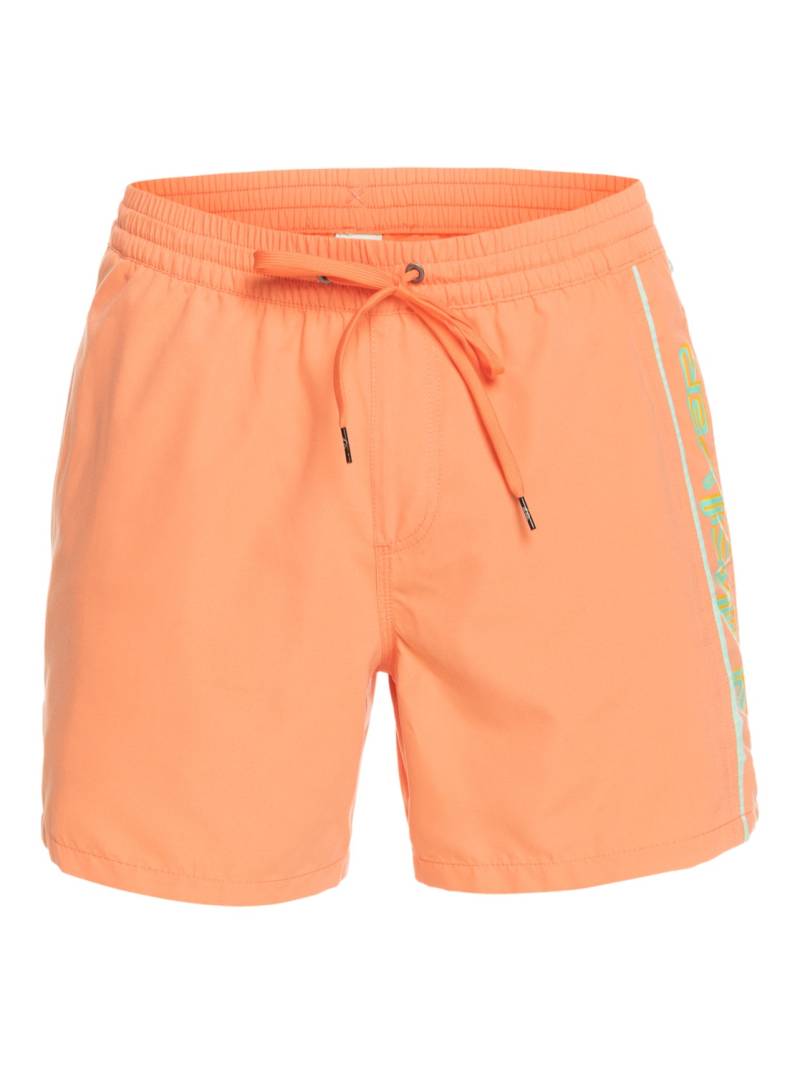 Quiksilver Badeshorts »Everyday Vert 16"« von Quiksilver