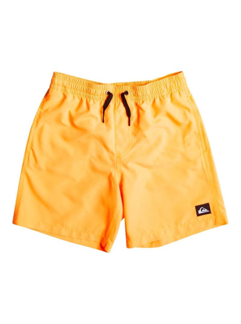 Quiksilver Badeshorts »Everyday 13"« von Quiksilver