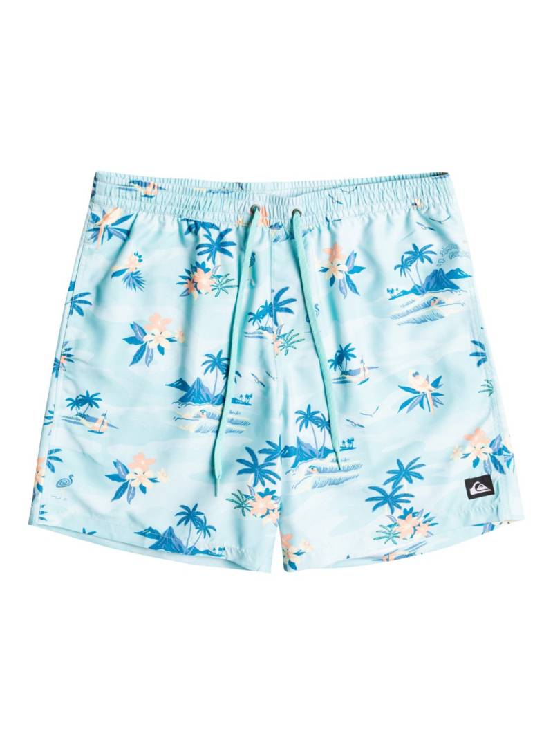 Quiksilver Boardshorts »Everyday Scenic 15"« von Quiksilver