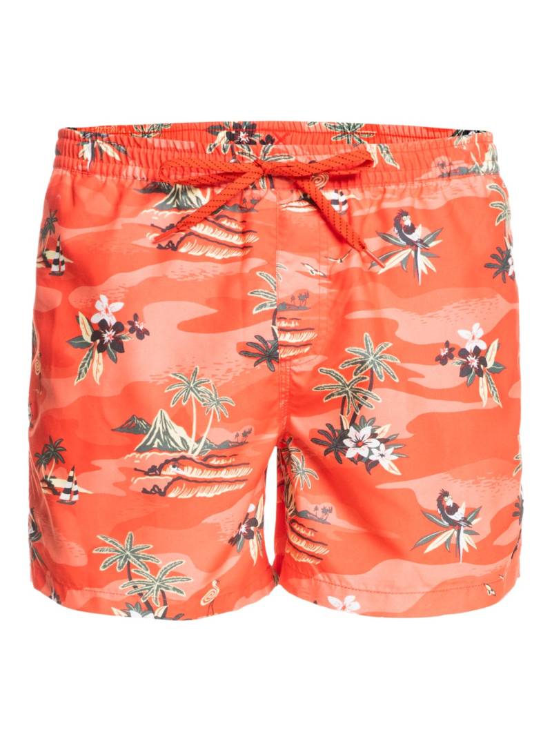 Quiksilver Boardshorts »Everyday Scenic 15"« von Quiksilver