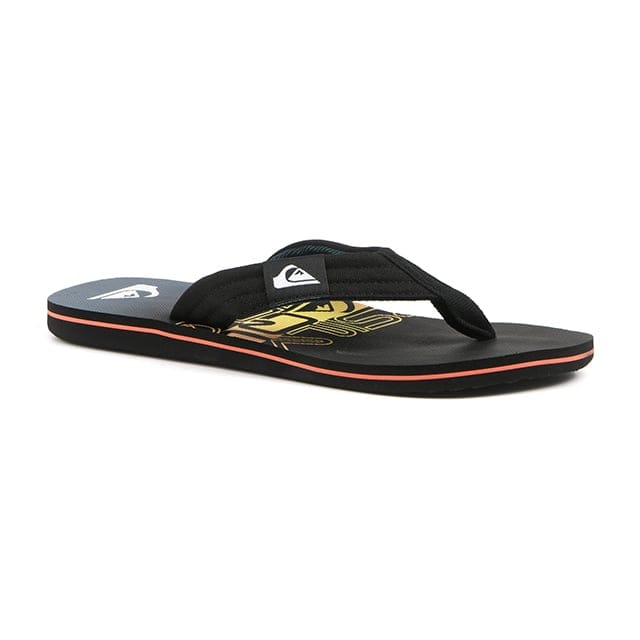 Quiksilver Molokai Layback-43 43 von Quiksilver