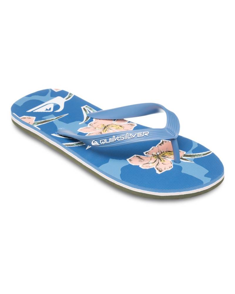 Quiksilver Sandale »Molokai Art 25« von Quiksilver