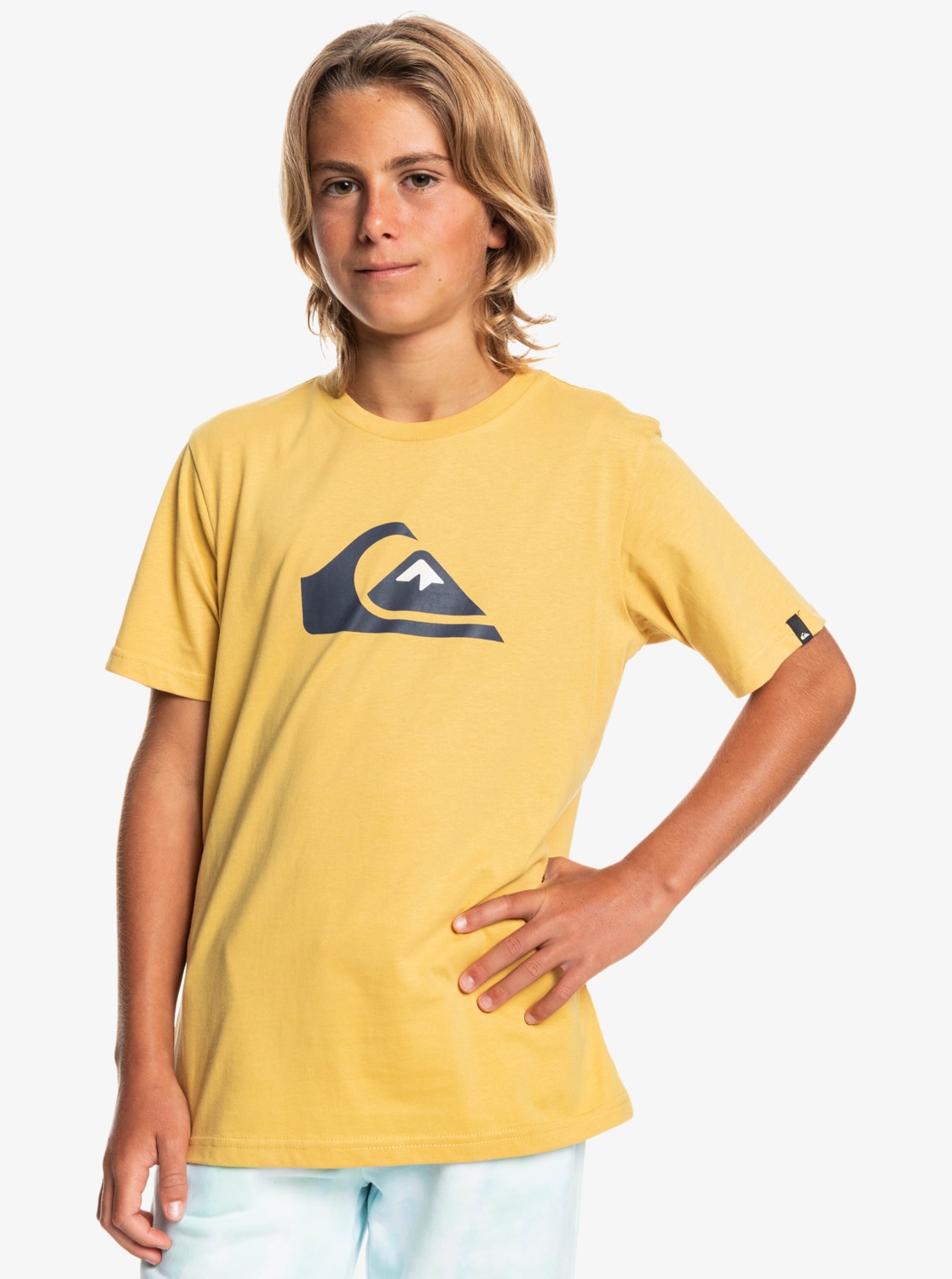 Quiksilver T-Shirt »Comp Logo« von Quiksilver