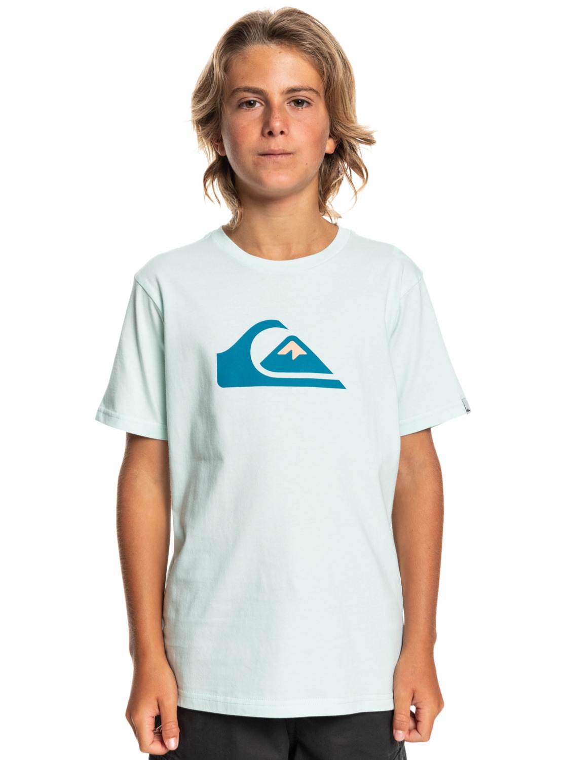 Quiksilver T-Shirt »Comp Logo« von Quiksilver