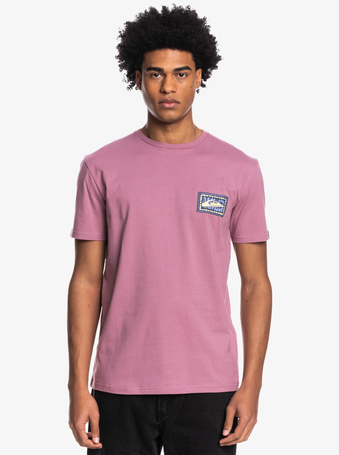 Quiksilver T-Shirt »Echoes In Time« von Quiksilver