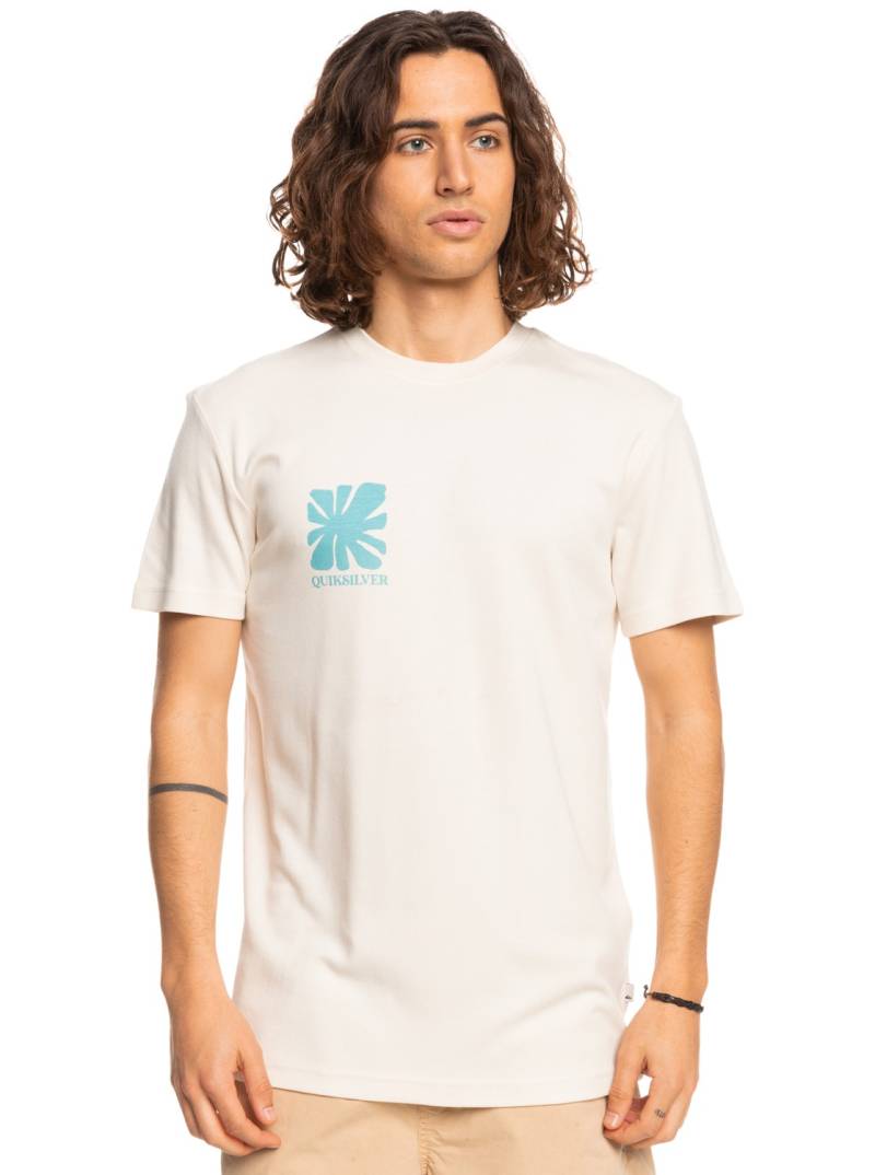 Quiksilver T-Shirt »Handled With Care« von Quiksilver