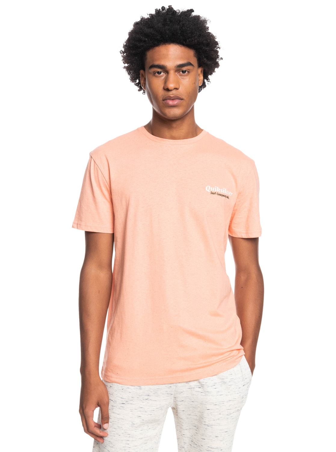 Quiksilver T-Shirt »Post Scriptum« von Quiksilver