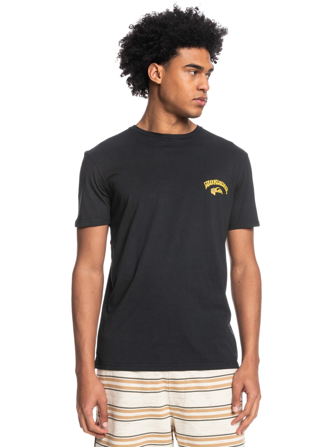 Quiksilver T-Shirt »Scenic Warp« von Quiksilver