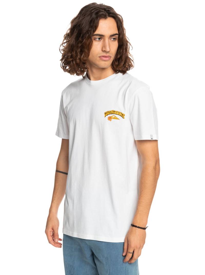 Quiksilver T-Shirt »Scenic Warp« von Quiksilver