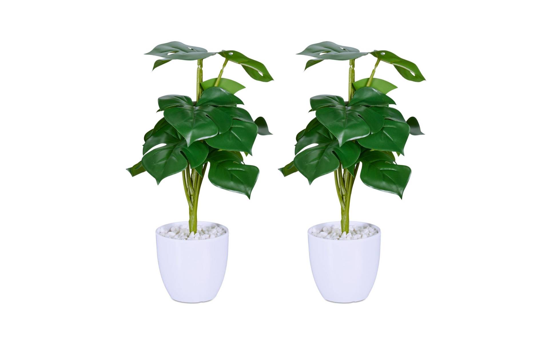 relaxdays Kunstblume »Monstera 2 Stück, 33 cm« relaxdays Kunstblume »Monstera 2 Stück, 33 cm« von RELAXDAYS