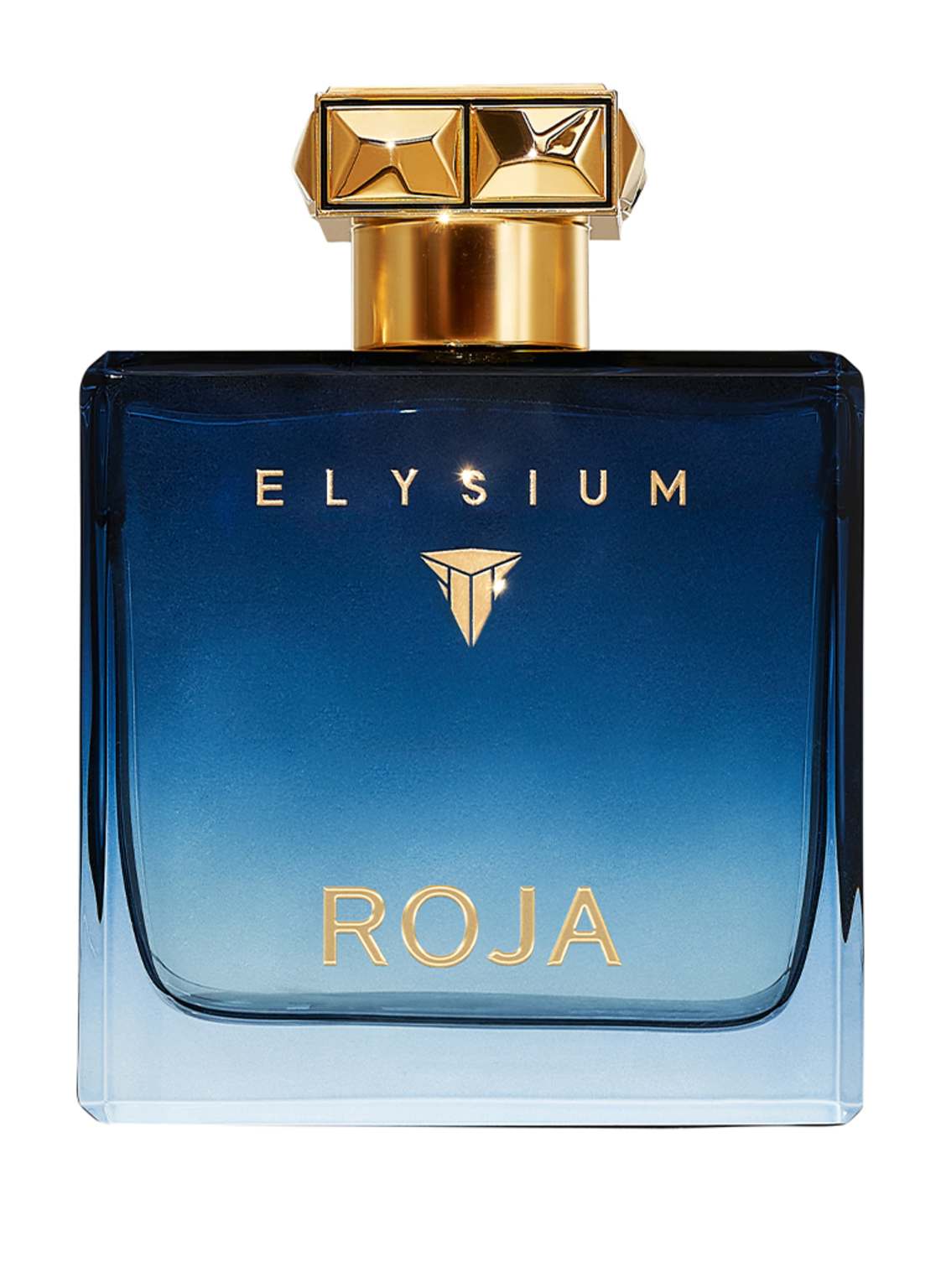 Roja Parfums Elysium Pour Homme Eau de Parfum 100 ml von ROJA PARFUMS