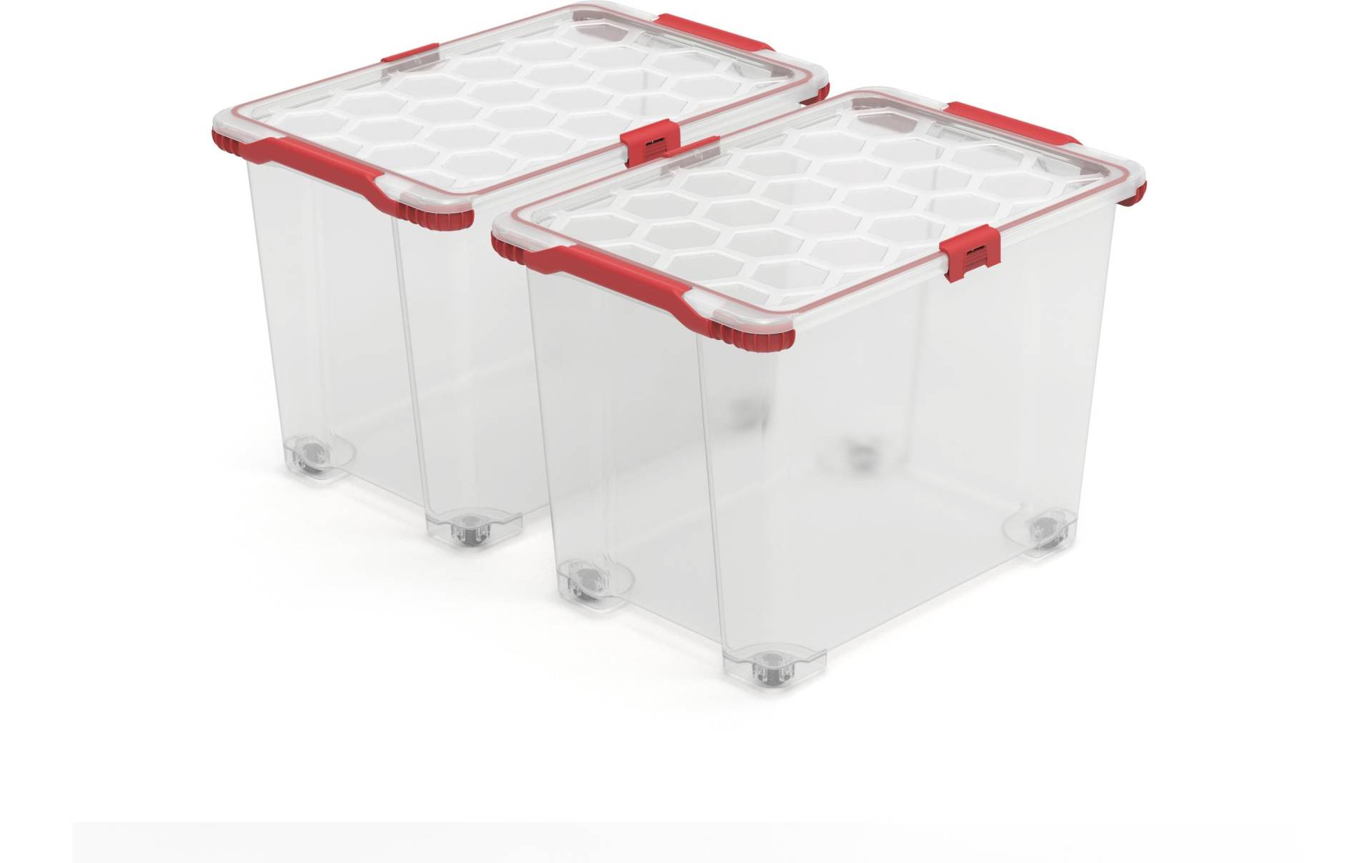 ROTHO Aufbewahrungsbox »EVO TOTAL Transparent, 2 tlg.«, (3 St.) von ROTHO