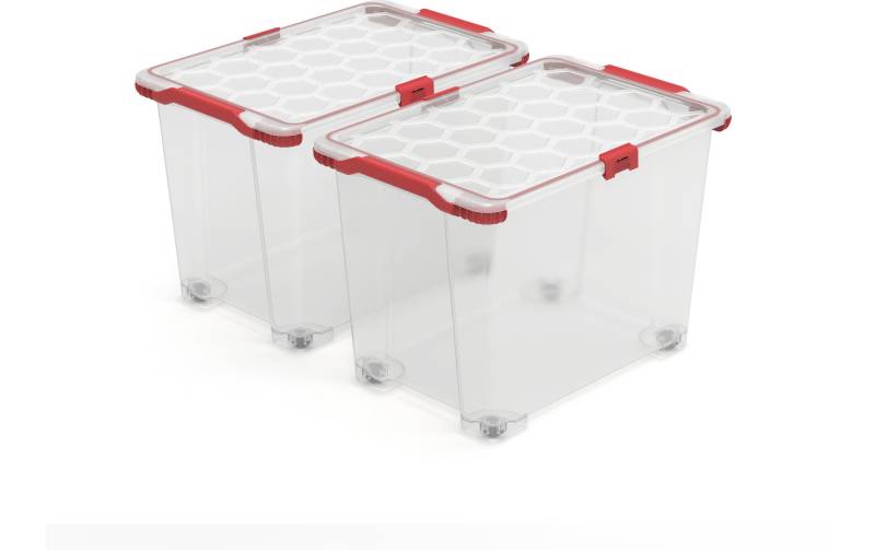 ROTHO Aufbewahrungsbox »EVO TOTAL Transparent, 2 tlg.« von ROTHO