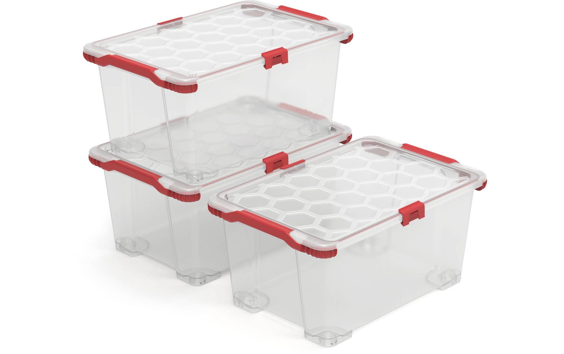 ROTHO Aufbewahrungsbox »EVO TOTAL Transparent, 3 tlg.«, (3 St.) von ROTHO