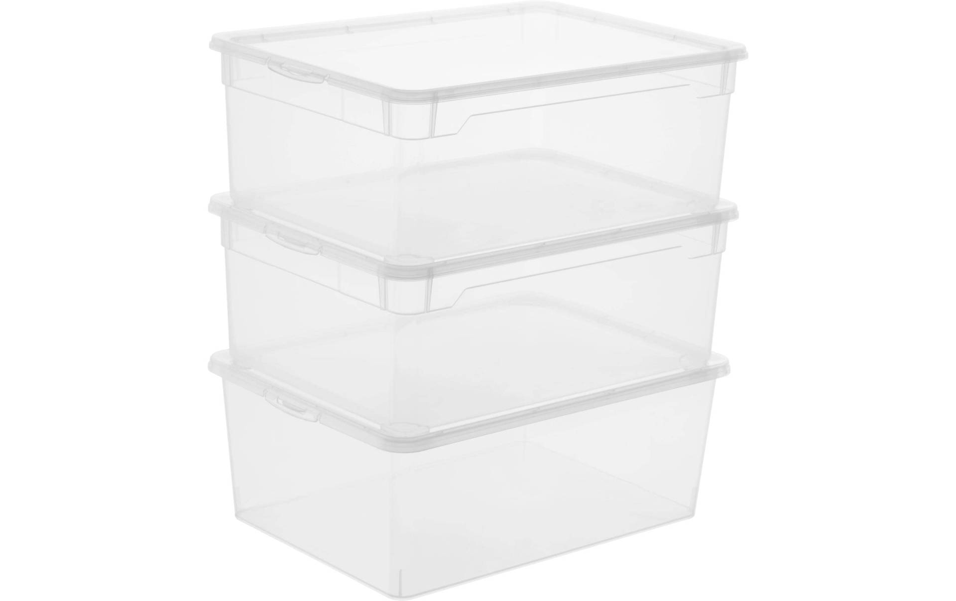 ROTHO Aufbewahrungsbox »Men Shoe Transparent, 3 tlg.«, (3 St.) ROTHO Aufbewahrungsbox »Men Shoe Transparent, 3 tlg.«, (3 St.) von ROTHO