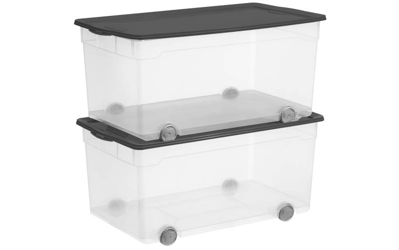 ROTHO Aufbewahrungsbox »Set Clear Box Roller4 2 tlg.«, (2 St.) von ROTHO